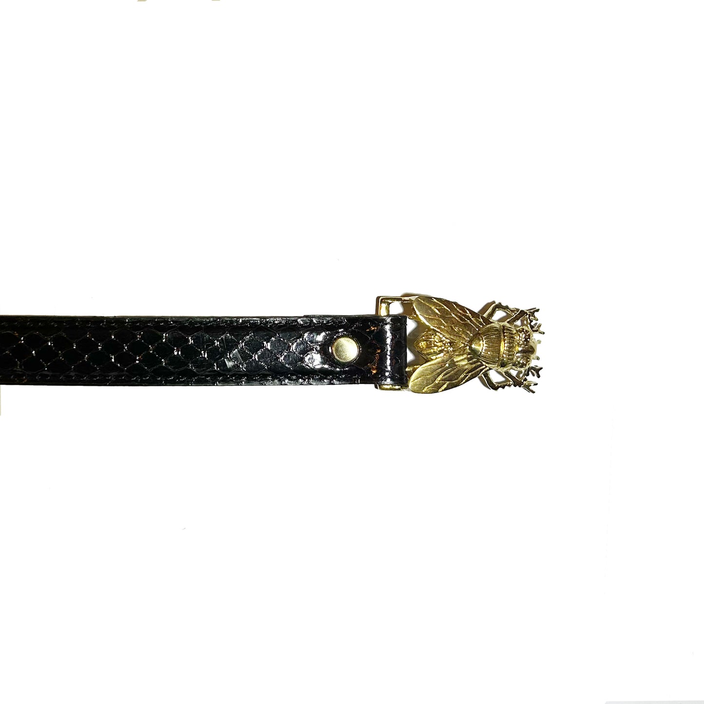 FLY PYTHON BELT